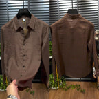 ✨Lightweight, Breathable & Shiny✨Men's Stylish Iron-Free Solid Color Long-Sleeve Shirt