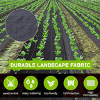 🔥Last day to enjoy a 50% discount—high-end woven weed barrier
