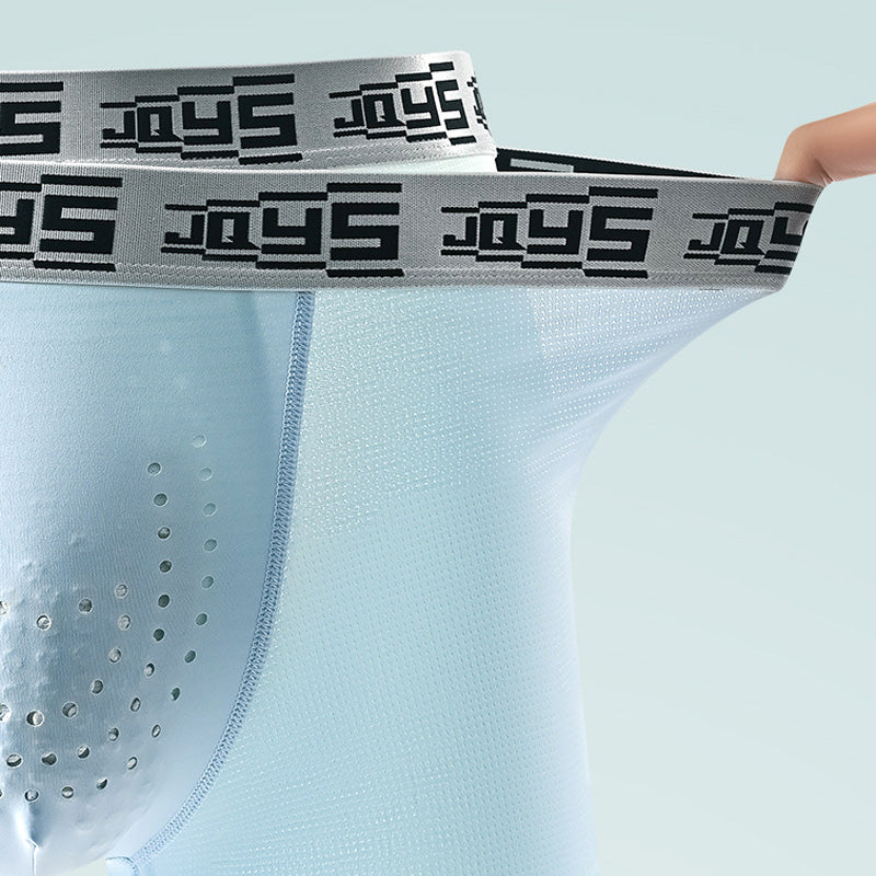 🩲Awaken the Beast Men's Breathable Oyster Ice Silk Underwear