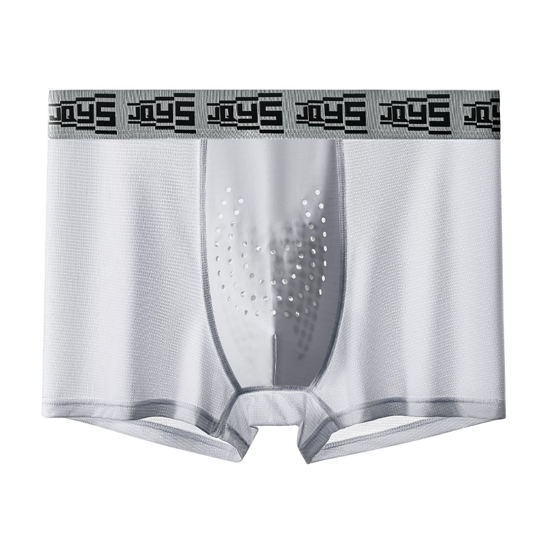 🩲Awaken the Beast Men's Breathable Oyster Ice Silk Underwear