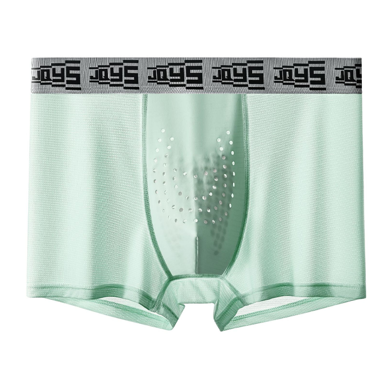 🩲Awaken the Beast Men's Breathable Oyster Ice Silk Underwear