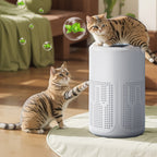 Quiet Energy Efficient Compact Air Purifier For Pet Hair Dust And Allergies