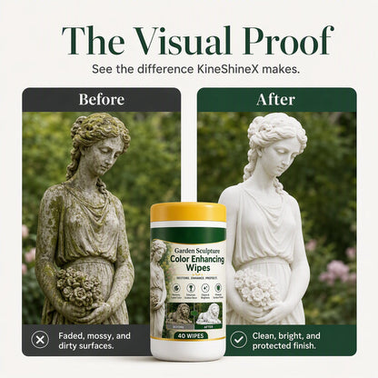 Outdoor Garden Sculpture Color Enhancing and Cleaning Wipes 40-Count