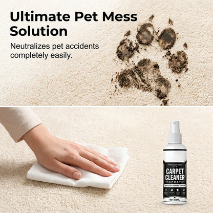 Carpet Cleaner Spray with Stain Remover & Odor Eliminator | Micro-Foam Fabric Safe for Pet Stains